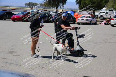 media/Apr-10-2022-Speed Ventures (Sun) [[fb4af86624]]/Around the Pits/